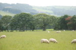 Peace, quiet and relaxation in the welsh hills